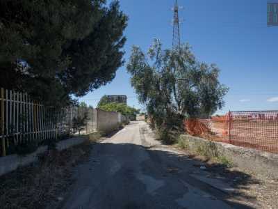 Bitonto, alla scoperta del tiro dinamico